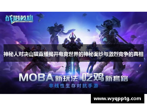 神秘人对决山猫直播揭开电竞世界的神秘面纱与激烈竞争的真相